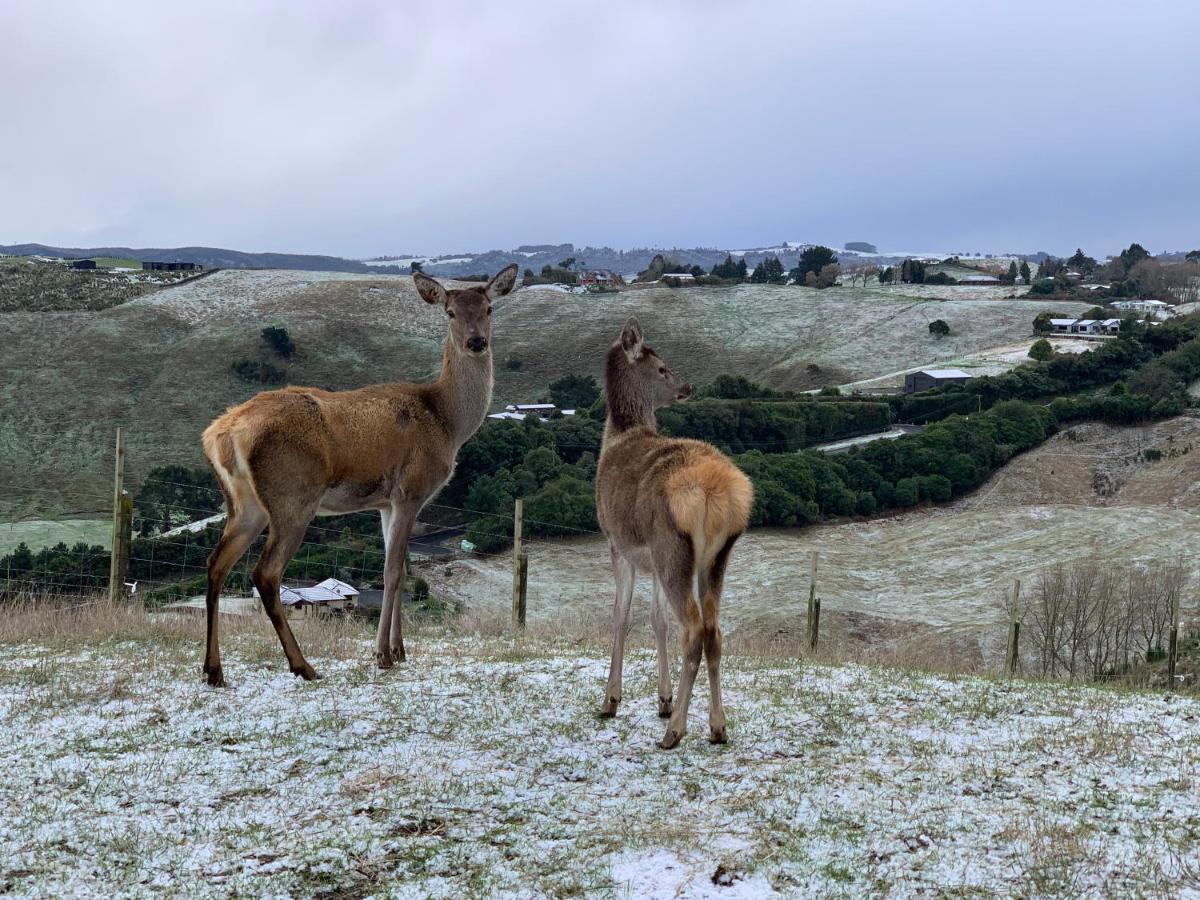 Hilltop Whakaipo Estate Taupo Luaran gambar