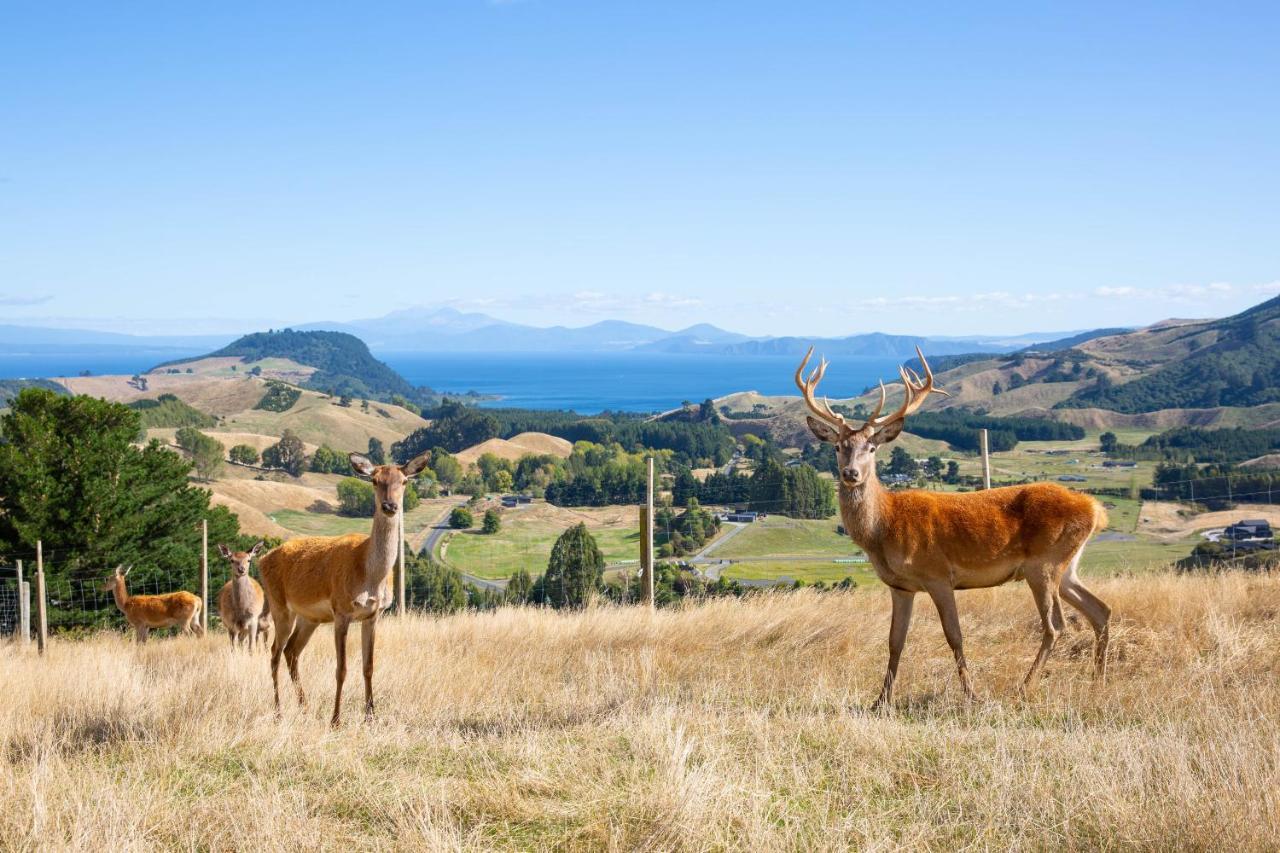 Hilltop Whakaipo Estate Taupo Luaran gambar