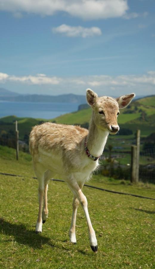 Hilltop Whakaipo Estate Taupo Luaran gambar