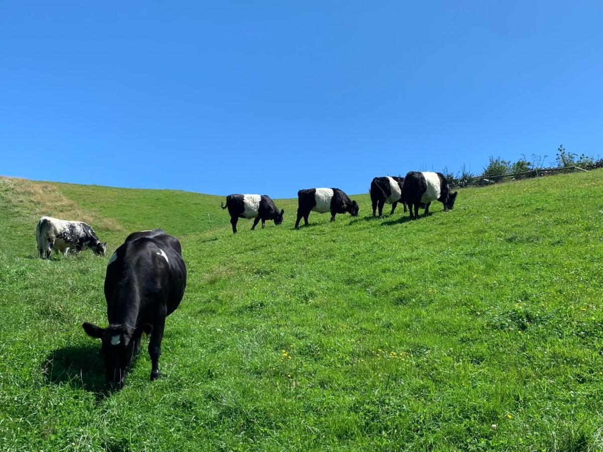 Hilltop Whakaipo Estate Taupo Luaran gambar