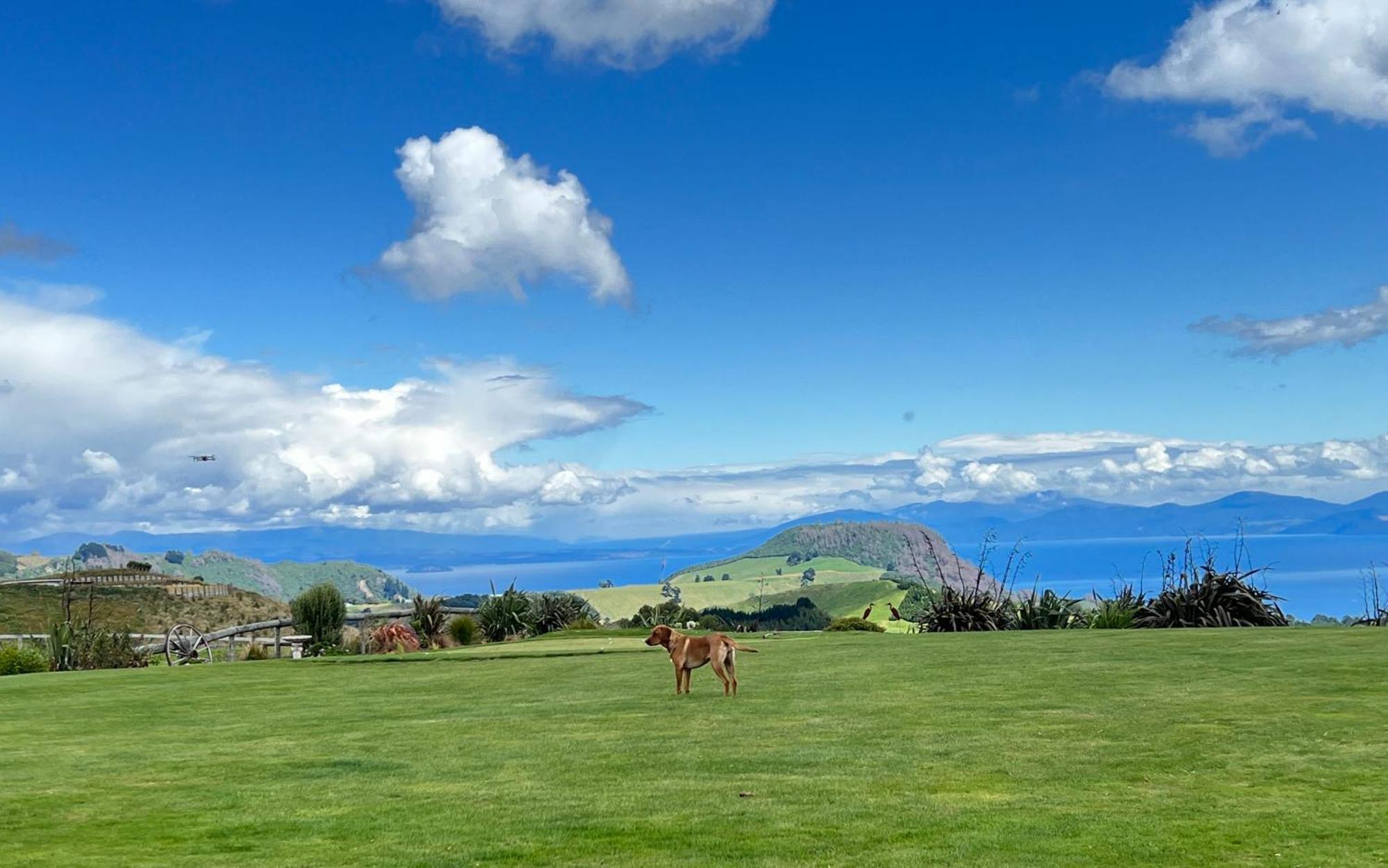 Hilltop Whakaipo Estate Taupo Luaran gambar