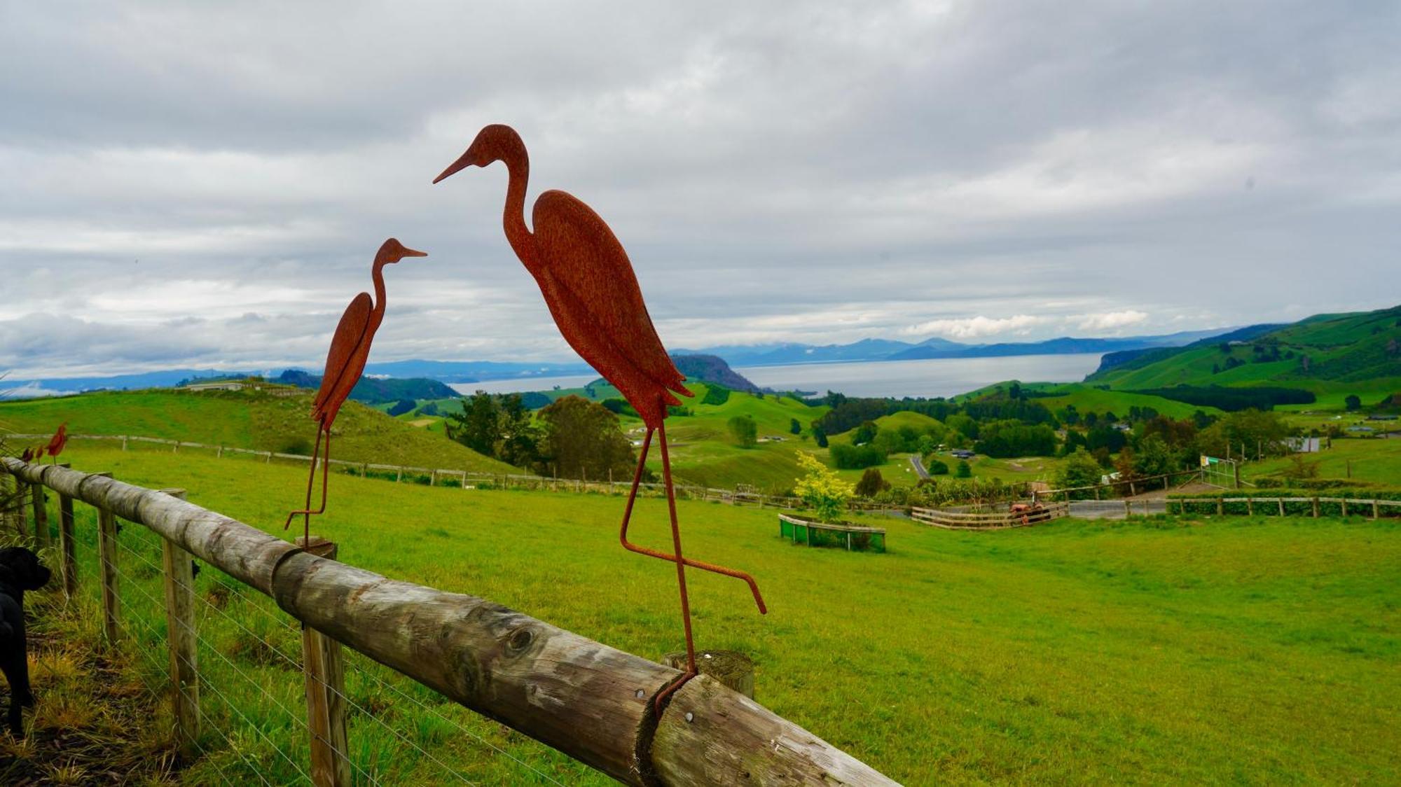Hilltop Whakaipo Estate Taupo Luaran gambar