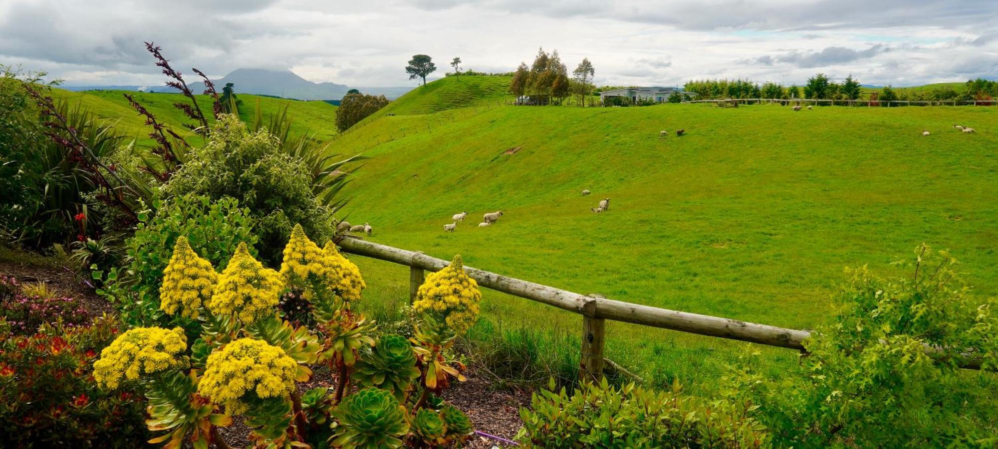 Hilltop Whakaipo Estate Taupo Luaran gambar