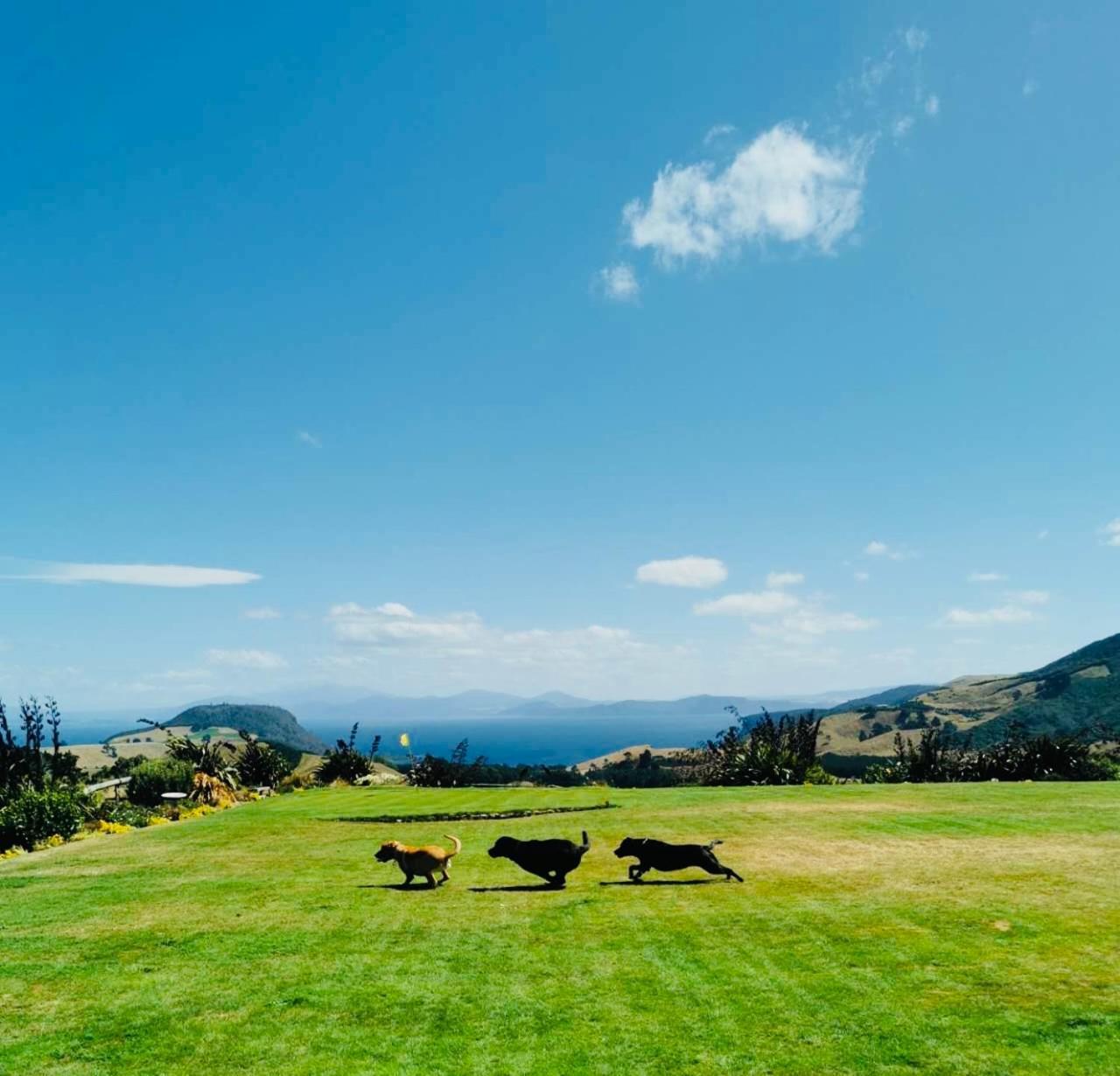 Hilltop Whakaipo Estate Taupo Luaran gambar