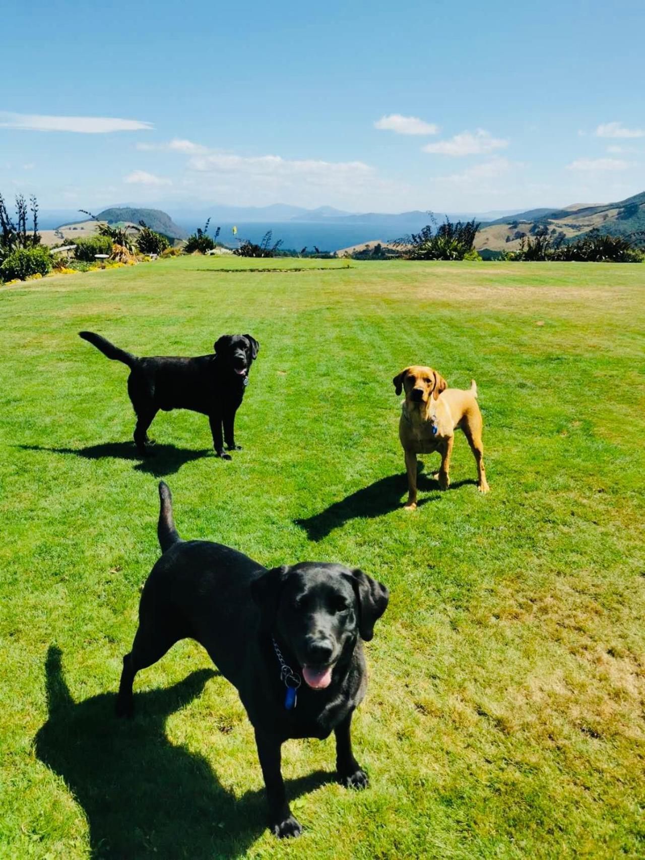 Hilltop Whakaipo Estate Taupo Luaran gambar
