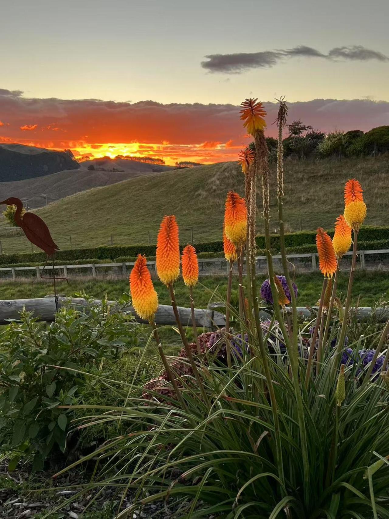 Hilltop Whakaipo Estate Taupo Luaran gambar